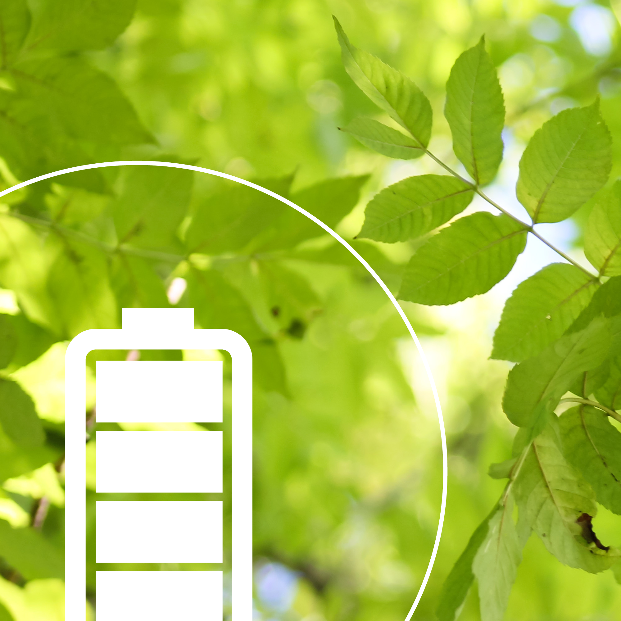 Webpic Kompatible Batterien